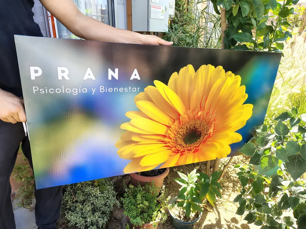 Gráfica corporativa impresa sobre una placa rígida