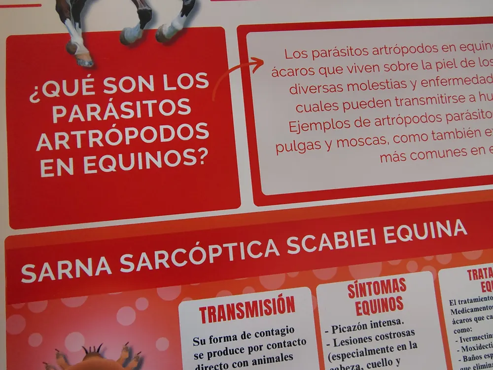 Detalle de piezas escolares personalizadas