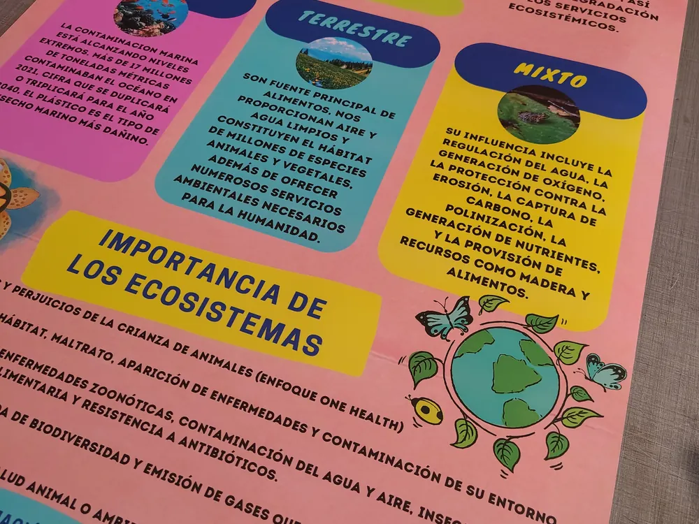 Material escolar personalizado impreso a color